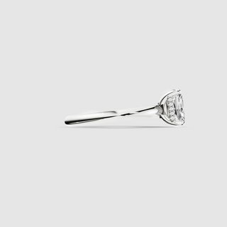 _roll_image@SKU:HH0044-0104ZA114W
